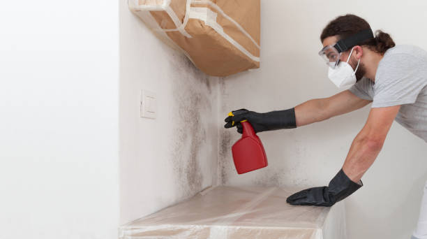 Professional Basement Mold Remediation technician working in Richmond, KY
