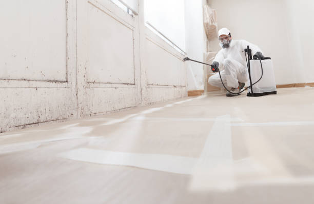 24/7 Emergency Basement Mold Remediation experts in Richmond, KY