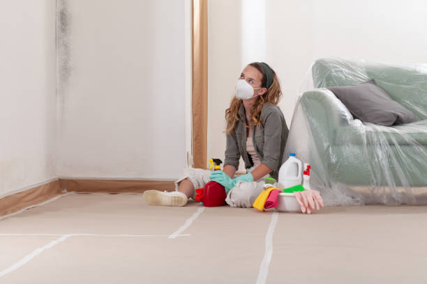 Reliable Basement Mold Remediation contractor in Richmond, KY by Mold Remediation HQ